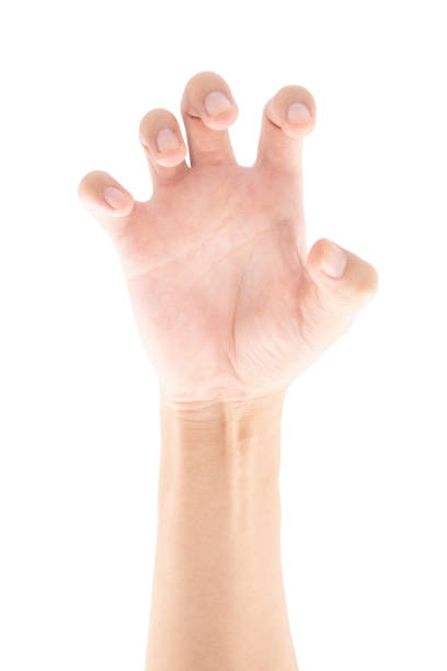 istock Hand scratching, Isolated on white background, Clipping path Included. 1545503028