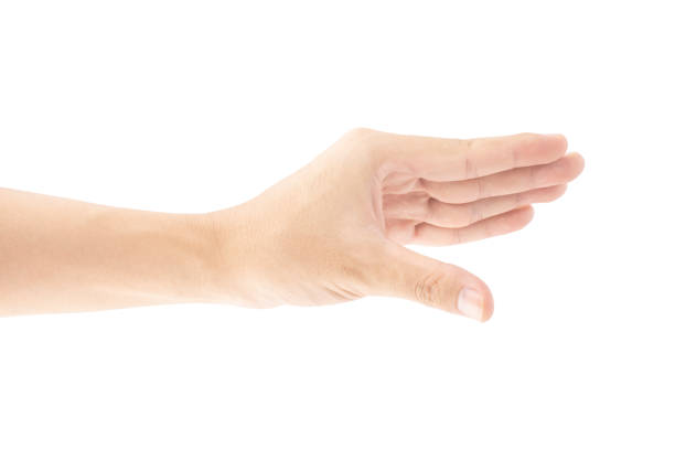 istock A hand that is holding or picking or gripping up something, Isolated on white background, Clipping path Included. 1545513927