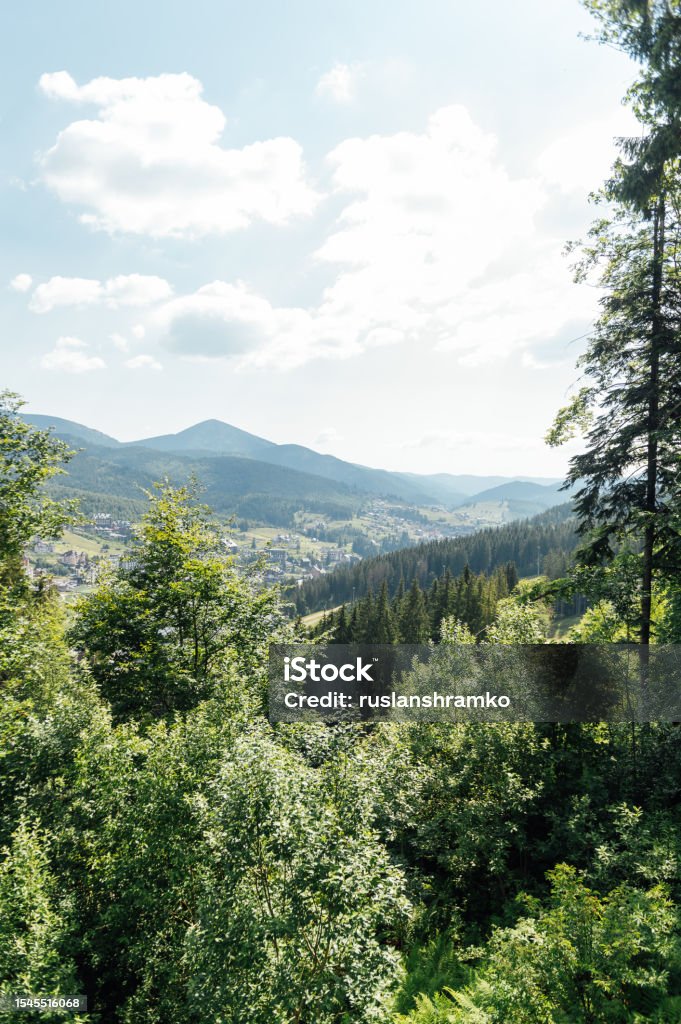 緑のウクライナの山々夏時間最大の山々の美しい景色 Petros Chornohora Mountain Rangeのストックフォトや
