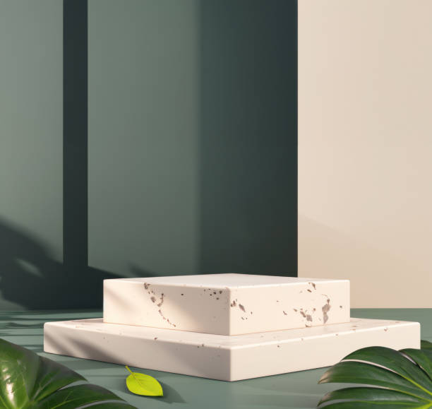 istock Naturalism design, square shape, podium display, light and shadow, plant and gray marble theme, minimal style - 3d rendering. 1545557736