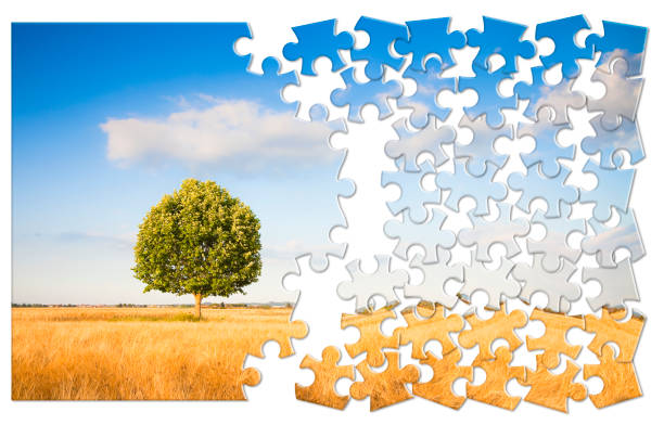Restore natural balance concept with lone tree in a rural scene - environmental conservation concept in jigsaw puzzle shape