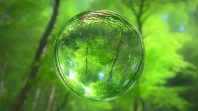Glass sphere in a green forest