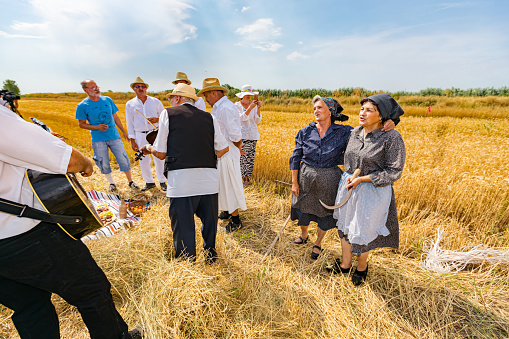 Muzlja, Vojvodina, Serbia, - July 03, 2021; XXXVIII Traditionally wheat harvest.
Musicians are play music before start reaping wheat manually in a traditional rural way.