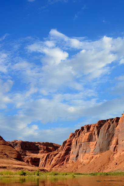 istock Colorado River Arizona 1545667391