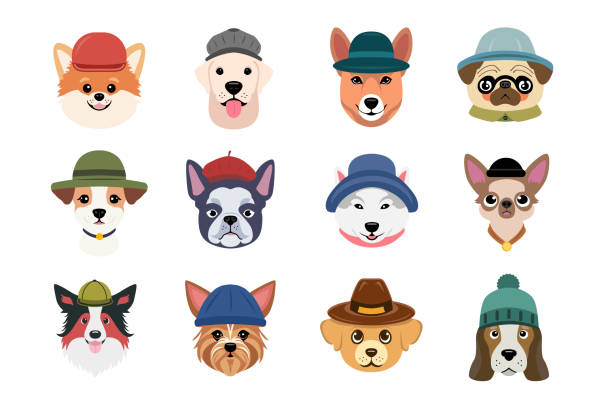 cartoon dog breeds in the hats. ręcznie rysowana zabawna ilustracja zestawu - dog malamute sled dog bulldog stock illustrations