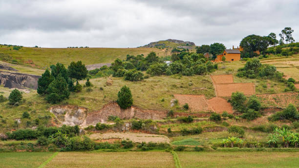 istock Typical Madagascar landscape - green and yellow rice terrace fields on small hills with clay houses in region near Farariana 1545679367