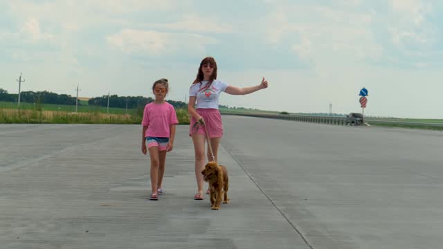 Mom, daughter and dog are walking along the edge of the highway.
