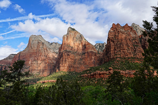 Red Mountains of Zion National Park on a summer day, Utah.