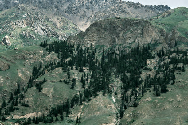 istock Mountain view in Permsky canyon, South Tien Shan 1545756852