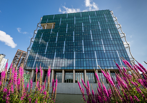Nine Elms, London, UK: The Embassy of the United States of America in London with pink flowers in the foreground. The US Embassy is located in the redeveloped area of Nine Elms.