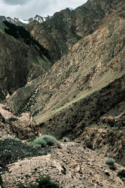 istock Mountain view in Permsky canyon, South Tien Shan 1545757048