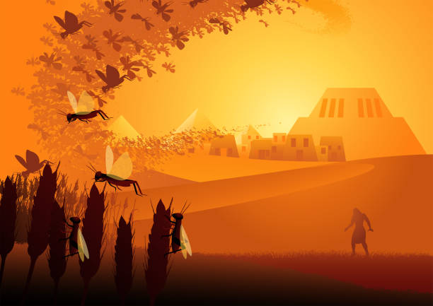 Ten plagues of Egypt, eighth plague, plague of locust Biblical vector illustration series, the ten plagues of Egypt, eighth plague, plague of locust epidemic stock illustrations