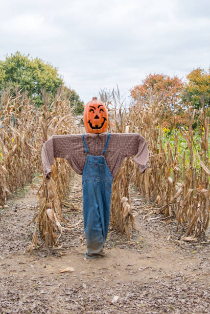 istock Halloween Pumpkin Scarecrow Guarding Fields In Tennessee 1545757633
