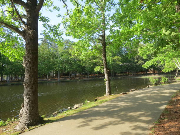 istock Walking Trail next to Lake 1545758681