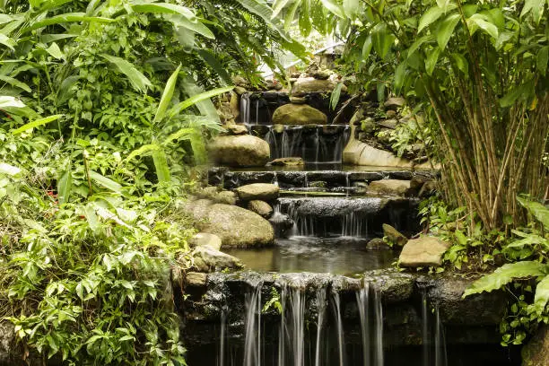 Photo of Ton Sai Waterfall in National Park Khao phra thaeo, Phuket, Thailand, Asia