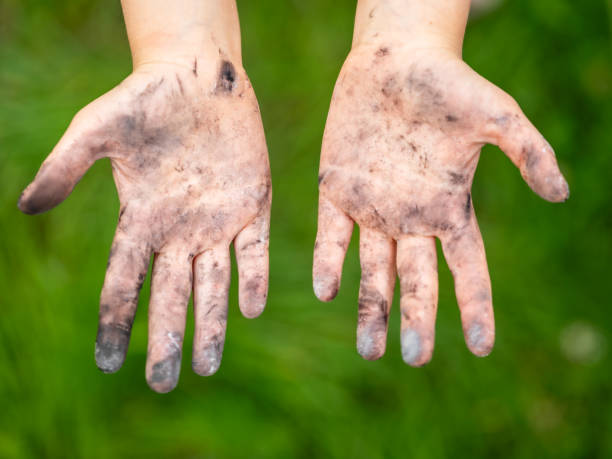 istock Little girl showing her dirty hands 1545778945