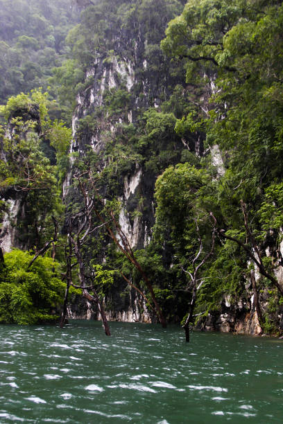 istock Khao Sok national park, Thailand, Asia 1545784376