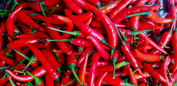 Fresh organic red hot chili for sale at vegetable market or supermarket. Closeup Harvest of agriculture and Plant or Growth. Spicy food