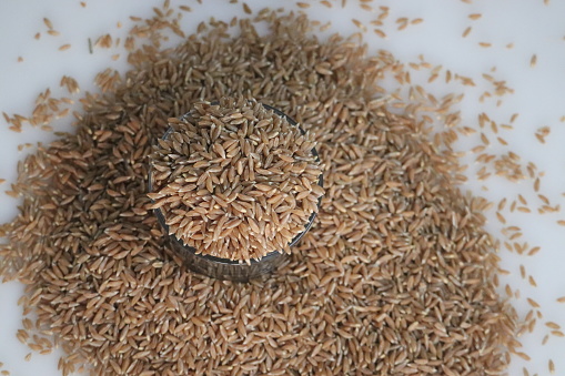 Khapli wheat. Also known as Emmer Wheat or Jave Godhi is one of the oldest wheat varieties of India. It is a long grain with high nutrition compared to commonly available variety
