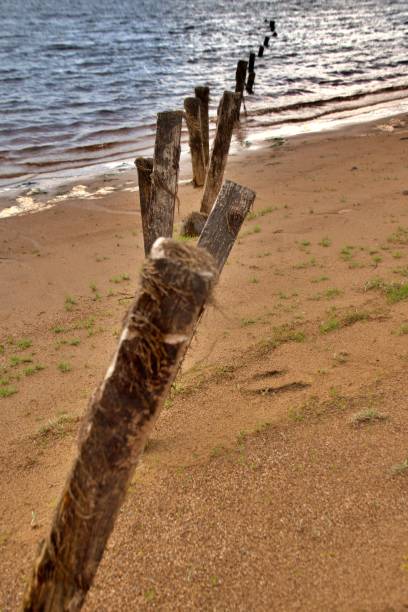 istock A row of pales 1545800571