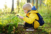 Preschooler boy is exploring nature with magnifying glass. Little child is looking on leaf of fern with magnifier. Summer vacation for inquisitive kids in forest. Hiking.