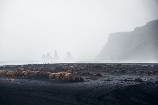 An idyllic landscape of a black sand beach, shrouded in a mysterious mist in Reykjavik, Iceland