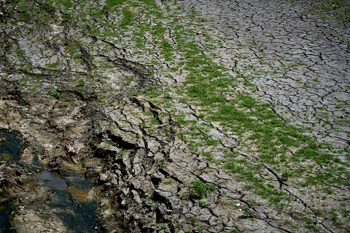 dry river bed as background texture