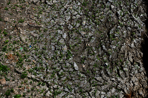 dry river bed as background texture