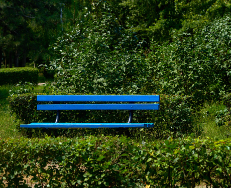 a blue bench stands in a recreation park