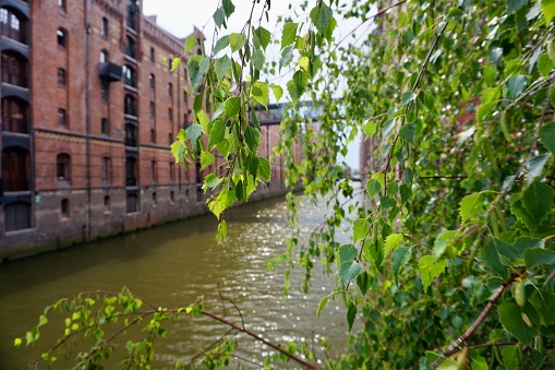 The Speicherstadt, literally: 'City of Warehouses', meaning warehouse district) in Hamburg, Germany, is the largest warehouse district in the world where the buildings stand on timber-pile foundations, oak logs, in this particular case.