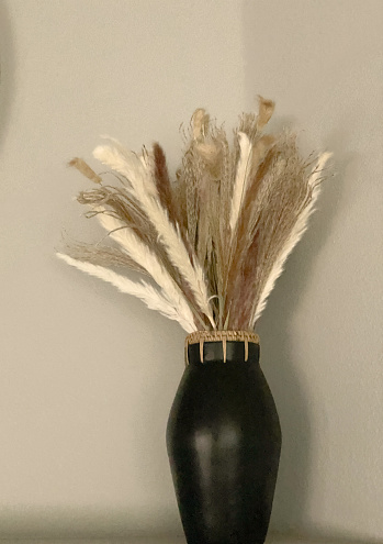 A black vase, filled with pampas grass creates a nice addition to a home.