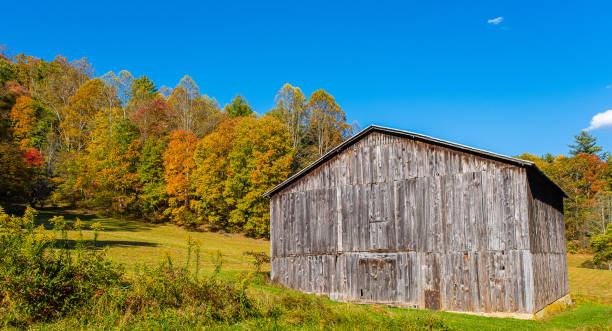 istock A wooden barn is highlighted by autumn foliage 1545913950