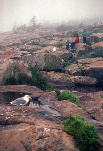 Acadia NP - Schoodic Peninsula - Sitting on Granite in Fog - 1985. Scanned from Kodachrome 64 slide.