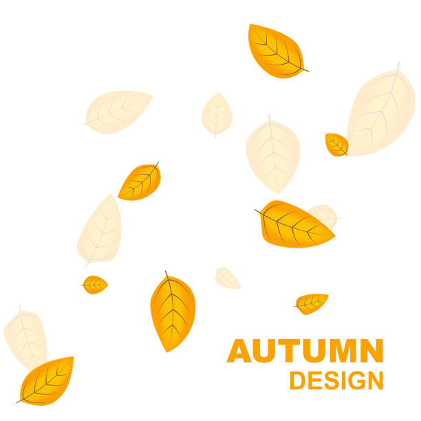 Abstract autumn background vector art illustration