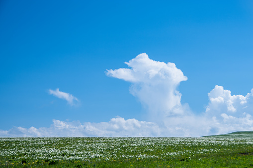 Landscape with green meadow, blue sky and clouds