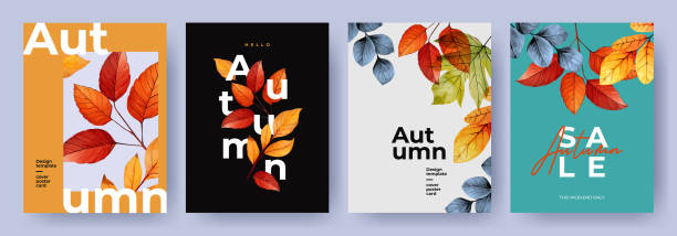 zestaw modnych minimalistycznych jesiennych plakatów lub okładek z jasnymi pięknymi liśćmi i nowoczesną typografią. tło upadku, baner sprzedaży lub projekt ulotki. szablon dla reklamy, strony internetowej, mediów społecznościowych - jesień stock illustrations
