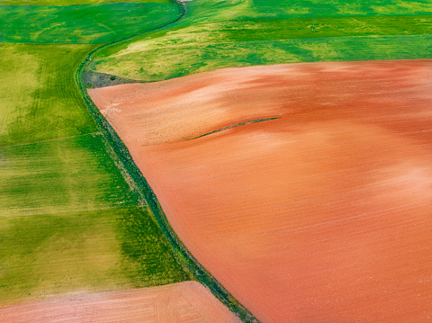 Cereal fields aerial view in Castile Spain, textures of early spring clay soil and growing plants