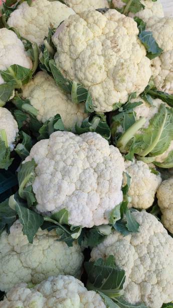 istock White and purple cauliflower 1545996923
