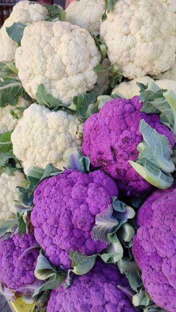 istock White and purple cauliflower 1545997299