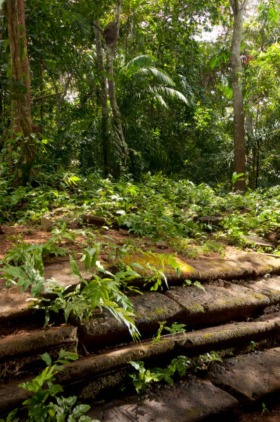 Church steeps in Camino de Cruces in Panama - stock photo Old altar steps of a church in the historic Spanish trail Camino de Cruces in Panama, Central America - stock photo panama canal expansion stock pictures, royalty-free photos & images