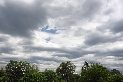 Partly cloudy covered sky with trees in a garden region