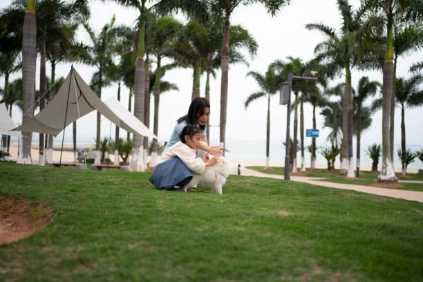 young woman playing with child and dog
