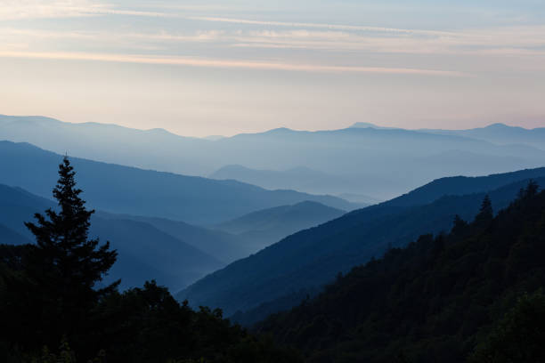 istock Newfound Gap area in the Great Smoky Mountains 1546083152