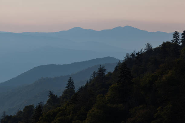 istock Newfound Gap area in the Great Smoky Mountains 1546084177