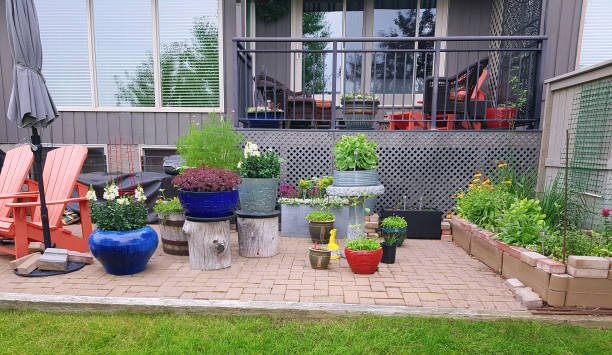 istock Colorful Backyard Garden Patio And Deck 1546176872