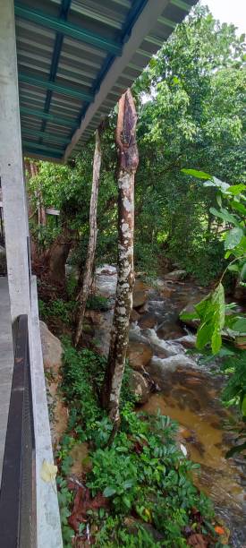 istock A river at lenggong perak malaysia 1546215241