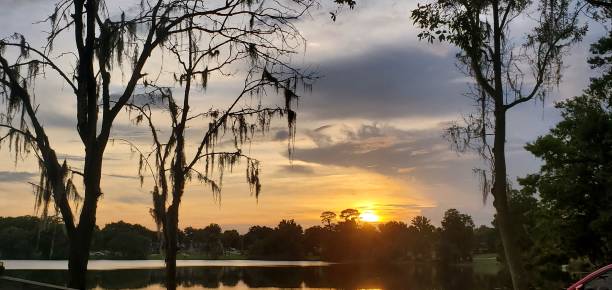 istock Sunset with Trees by Pond in Apopka Florida 1546220406