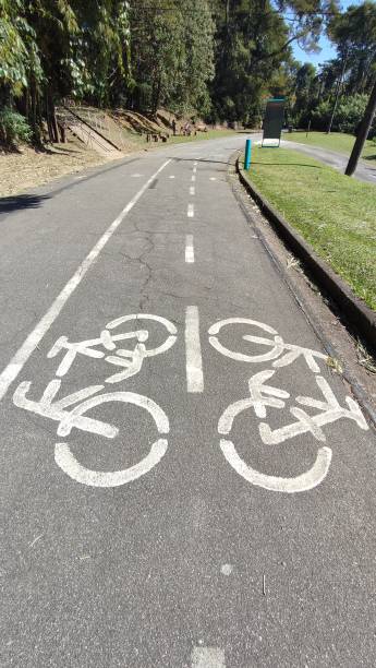 istock Bike lane 1546238637