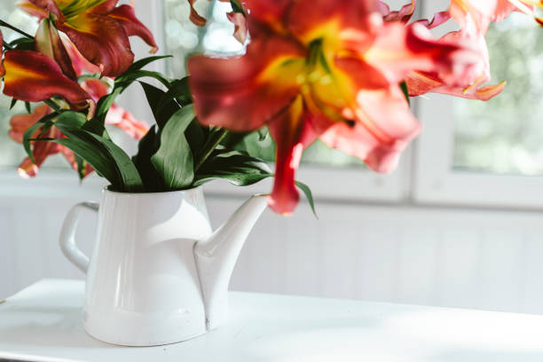 istock Pink lilies in the rays of the setting sun 1546241816