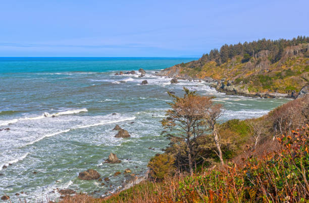 Rocky Bay on the California Coast at Sue Meg State Park